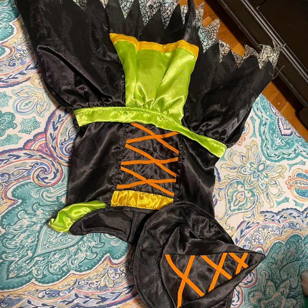 Pet Halloween costume
